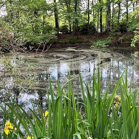 Vakantiehuis De Koolmees, In Een Bosrijke Natuur. 公寓