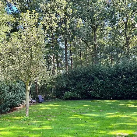 Vakantiehuis De Koolmees, In Een Bosrijke Natuur. *