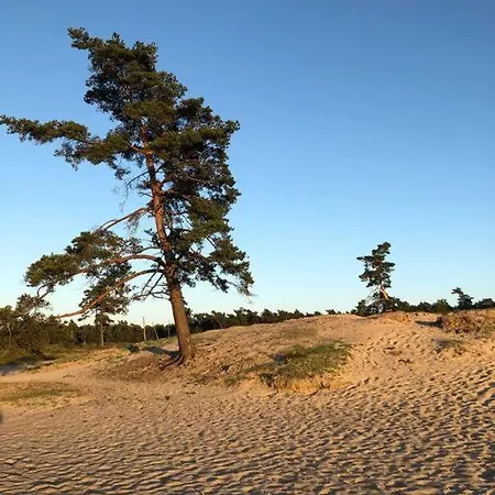 Vakantiehuis De Koolmees, In Een Bosrijke Natuur. 公寓 *