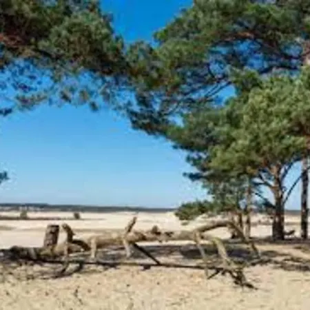 公寓 Vakantiehuis De Koolmees, In Een Bosrijke Natuur. 卡茨休维尔