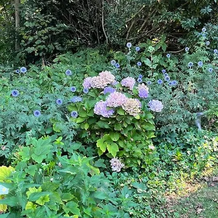 公寓 Vakantiehuis De Koolmees, In Een Bosrijke Natuur. 卡茨休维尔
