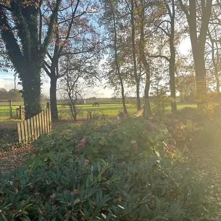 Vakantiehuis De Koolmees, In Een Bosrijke Natuur. * 卡茨休维尔