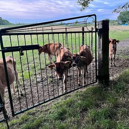 Vakantiehuis De Koolmees, In Een Bosrijke Natuur. * 卡茨休维尔