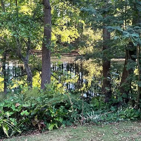 公寓 Vakantiehuis De Koolmees, In Een Bosrijke Natuur.