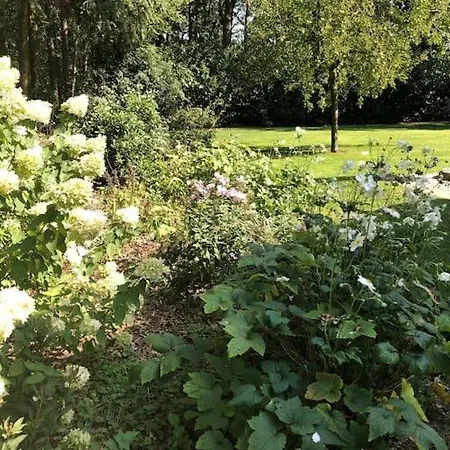 公寓 Vakantiehuis De Koolmees, In Een Bosrijke Natuur. *