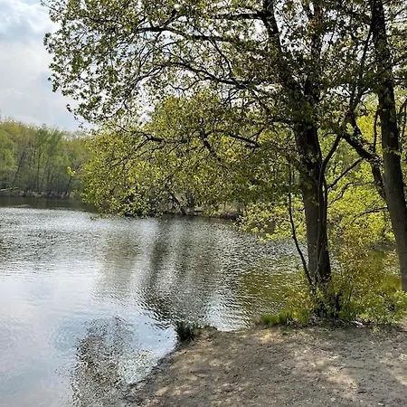 Vakantiehuis De Koolmees, In Een Bosrijke Natuur. 公寓